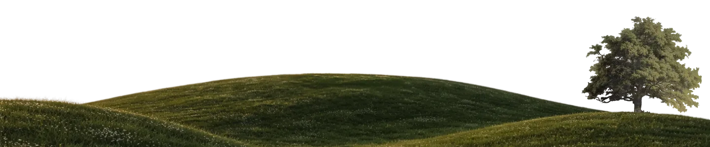 bottom-img
