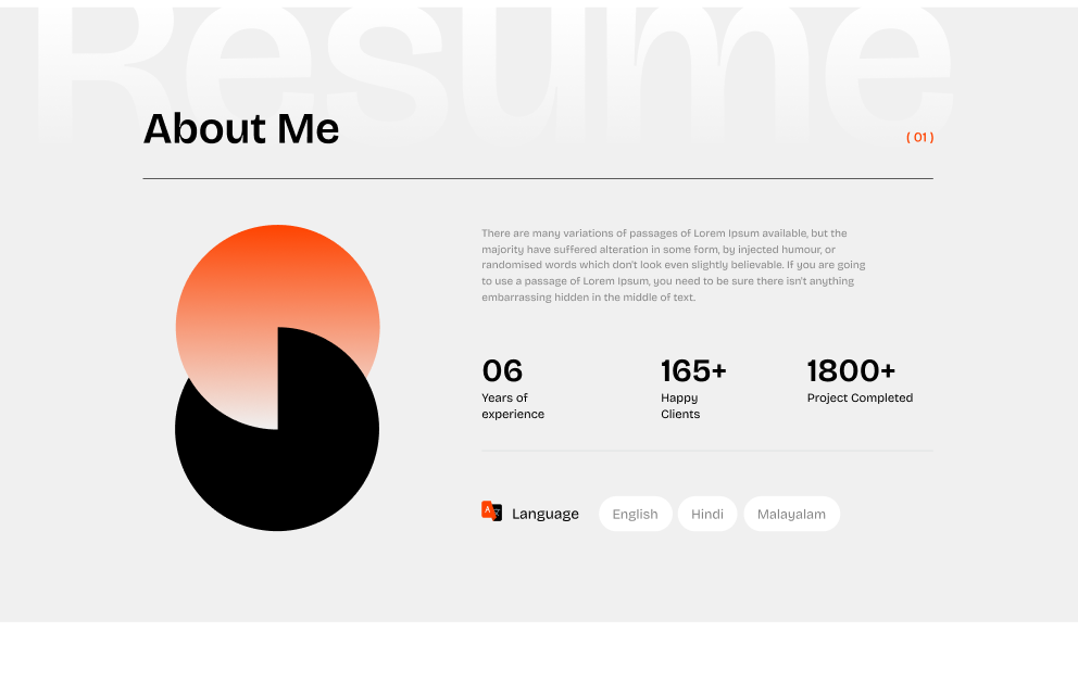 Resume - Shadcn UI Resume and Portfolio Template screenshot 2