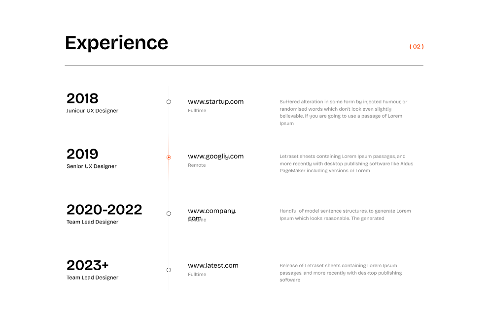 Resume - Shadcn UI Resume and Portfolio Template screenshot 3